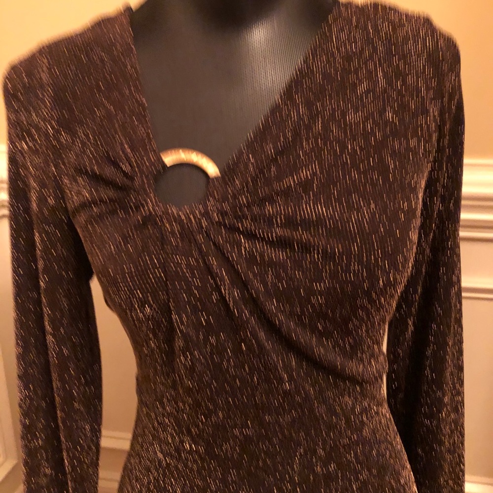 Chocolate and Gold dress -Michael Kors
